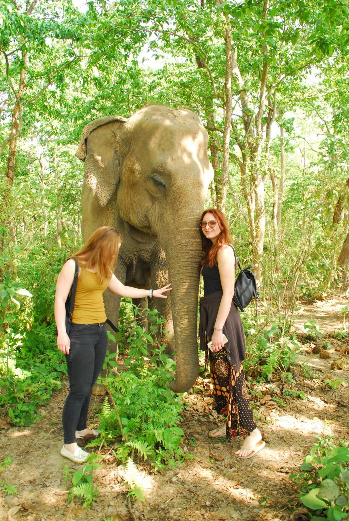 Hotel Garden Of Dreams Sauraha Luaran gambar