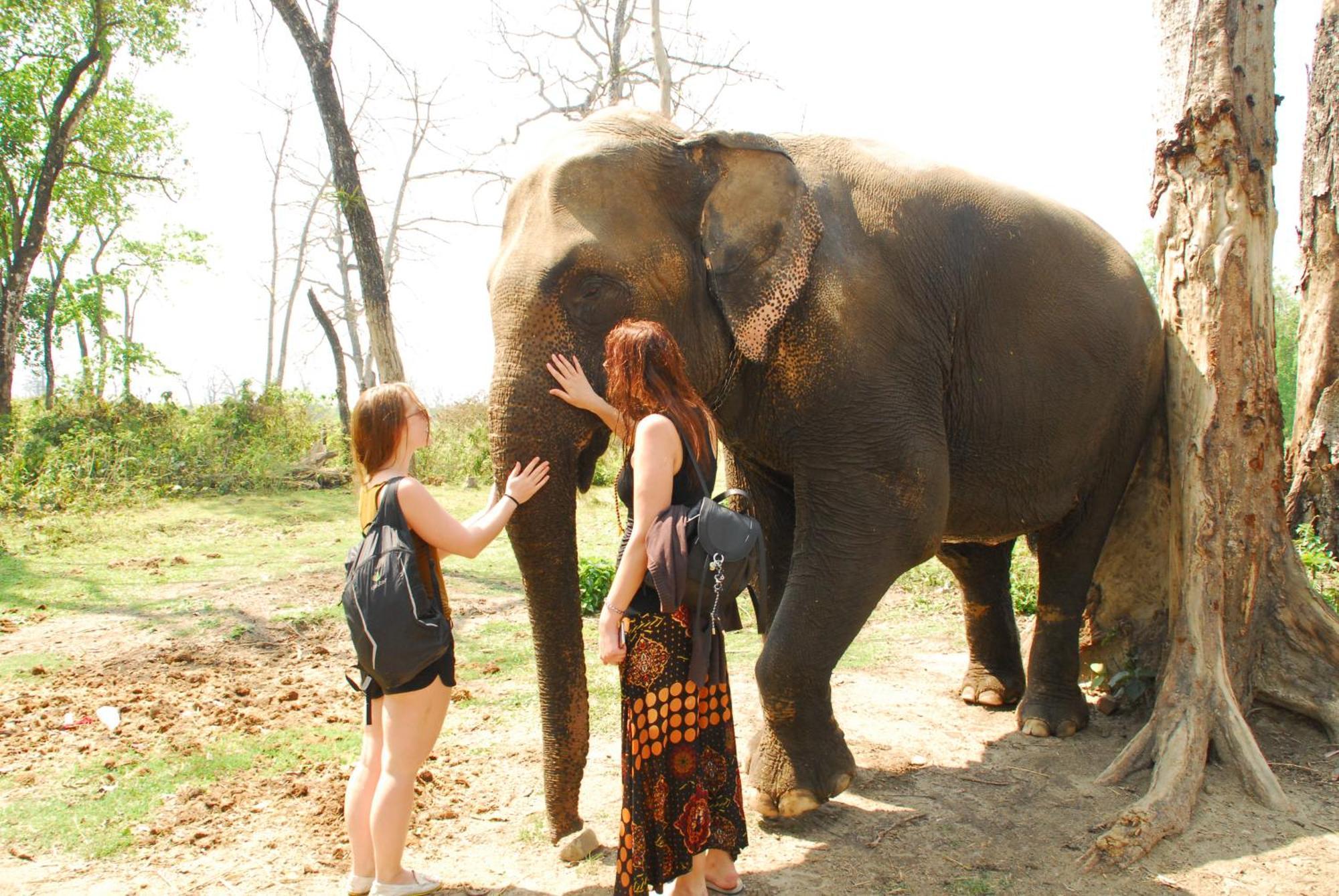 Hotel Garden Of Dreams Sauraha Luaran gambar