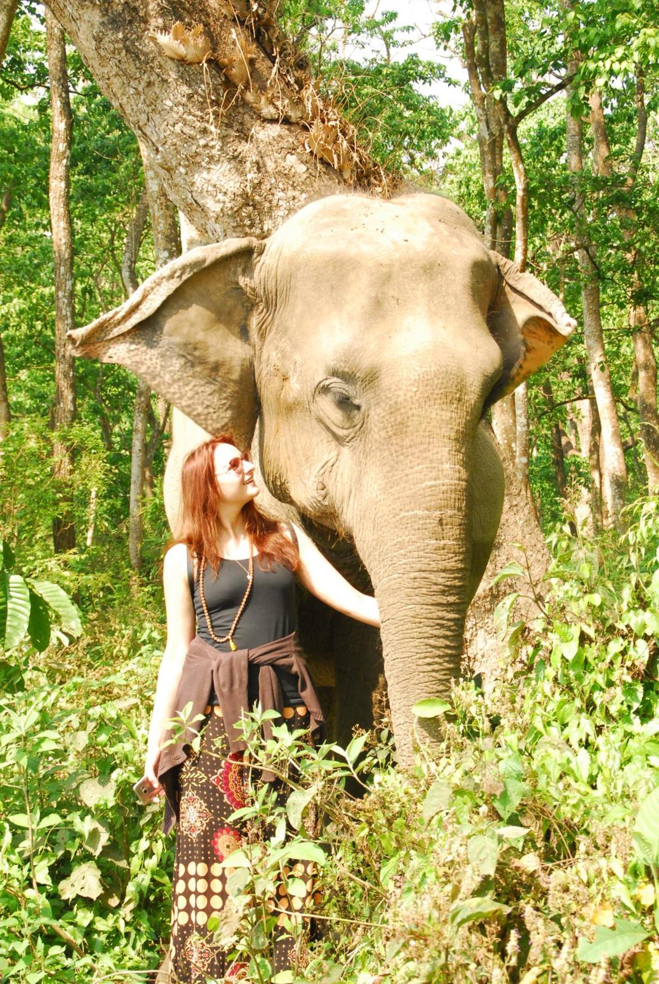 Hotel Garden Of Dreams Sauraha Luaran gambar