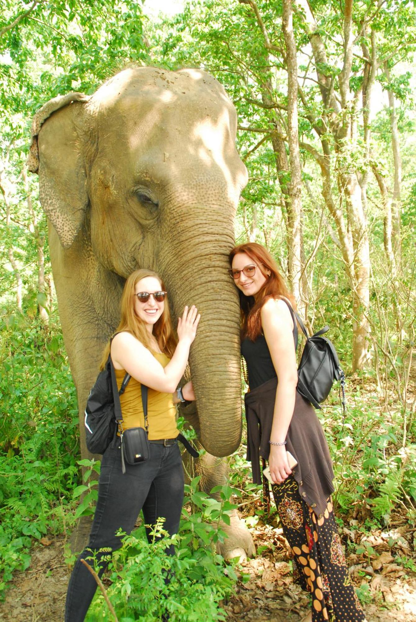 Hotel Garden Of Dreams Sauraha Luaran gambar